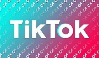 SEGUIDORES BRASILEIROS PARA TIKTOK