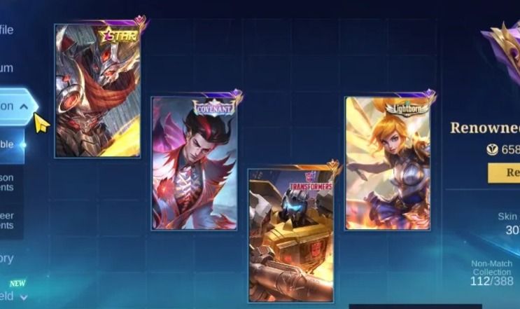 307 SKINS - FULL EMBLEMAS - FULL HEROIS