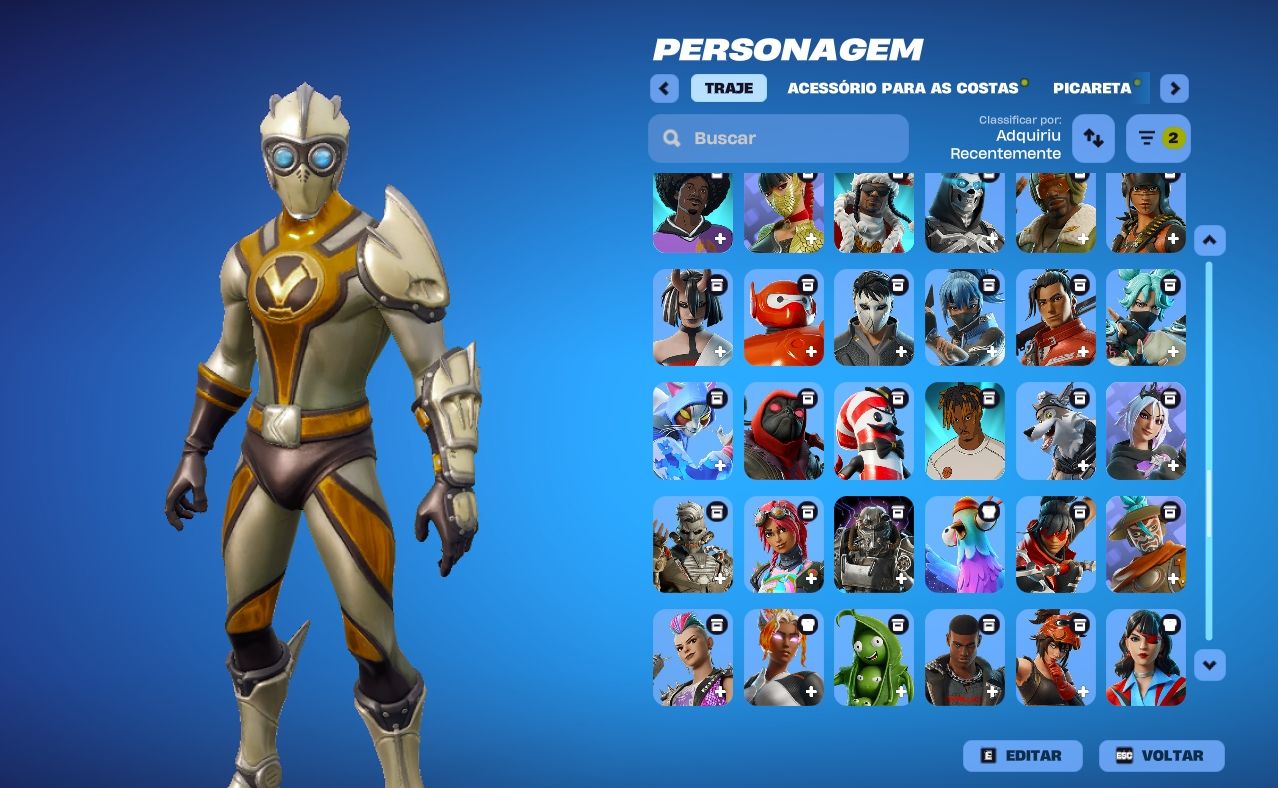 Conta Fortnite + Epic Games conta da Epic Games com excelente coleção
