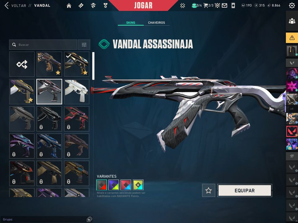 CONTA VALORANT VARIAS SKINS, FULL-INFO