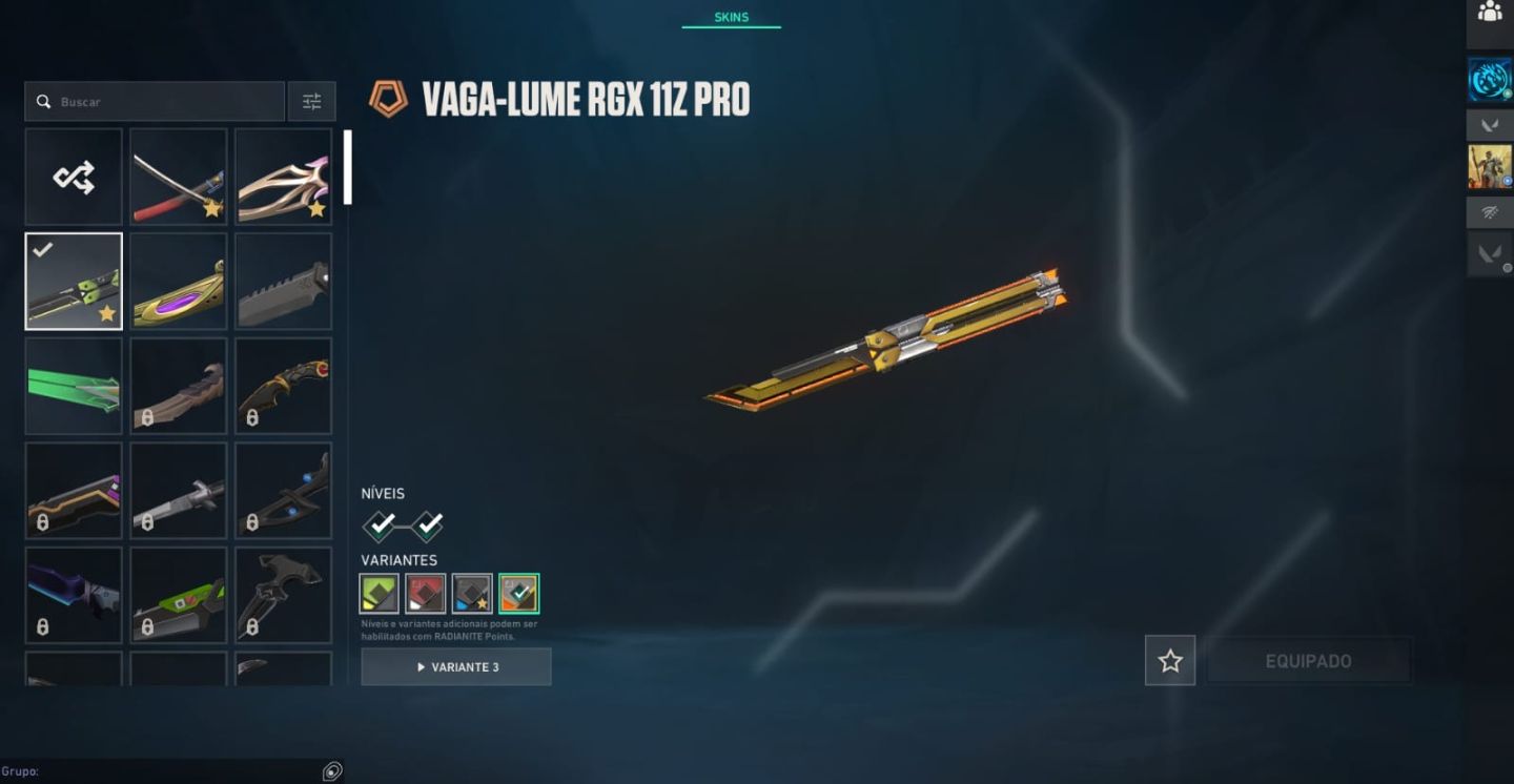 Conta Valorant Ascendente Full Acesso com Muitas Skins e Banners