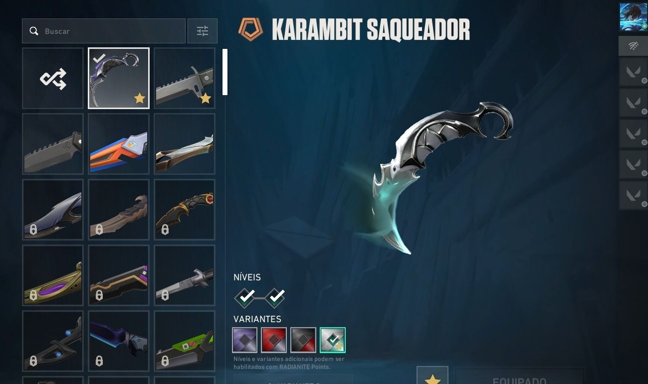 Conta Valorant | Karambit Saquearoa | Xenohunter