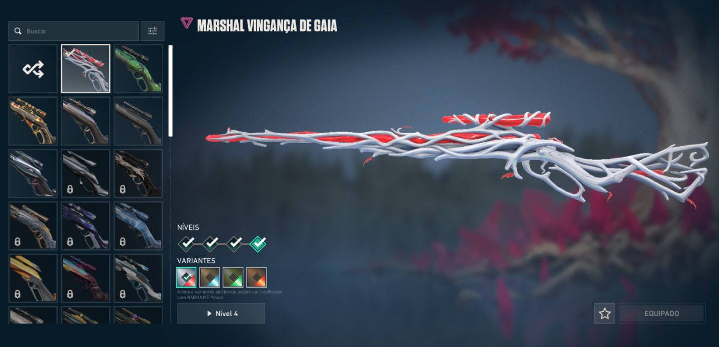 Conta de Valorant muito completa com mais de 2k gasto