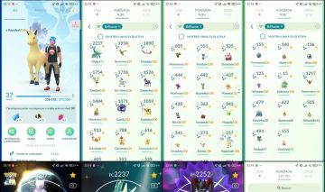 Pokémon Go LVL 37 | 29 Shundos | Mewtwo 100% | Dialga shiny Q205