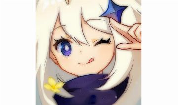 Prestação de Serviços Diversos em Genshin Impact