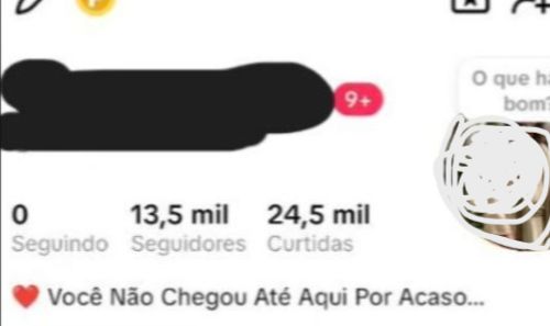 CONTA TIK TOK 13.OOO seguidores reais + alto engajamento+garantia (PRA IR LOGO)