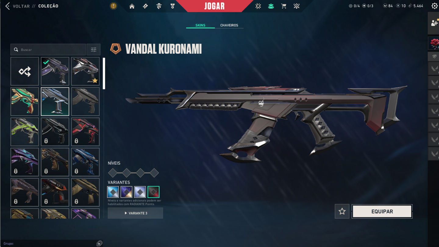Conta Valorant Completa + Saqueador 2.0 Full