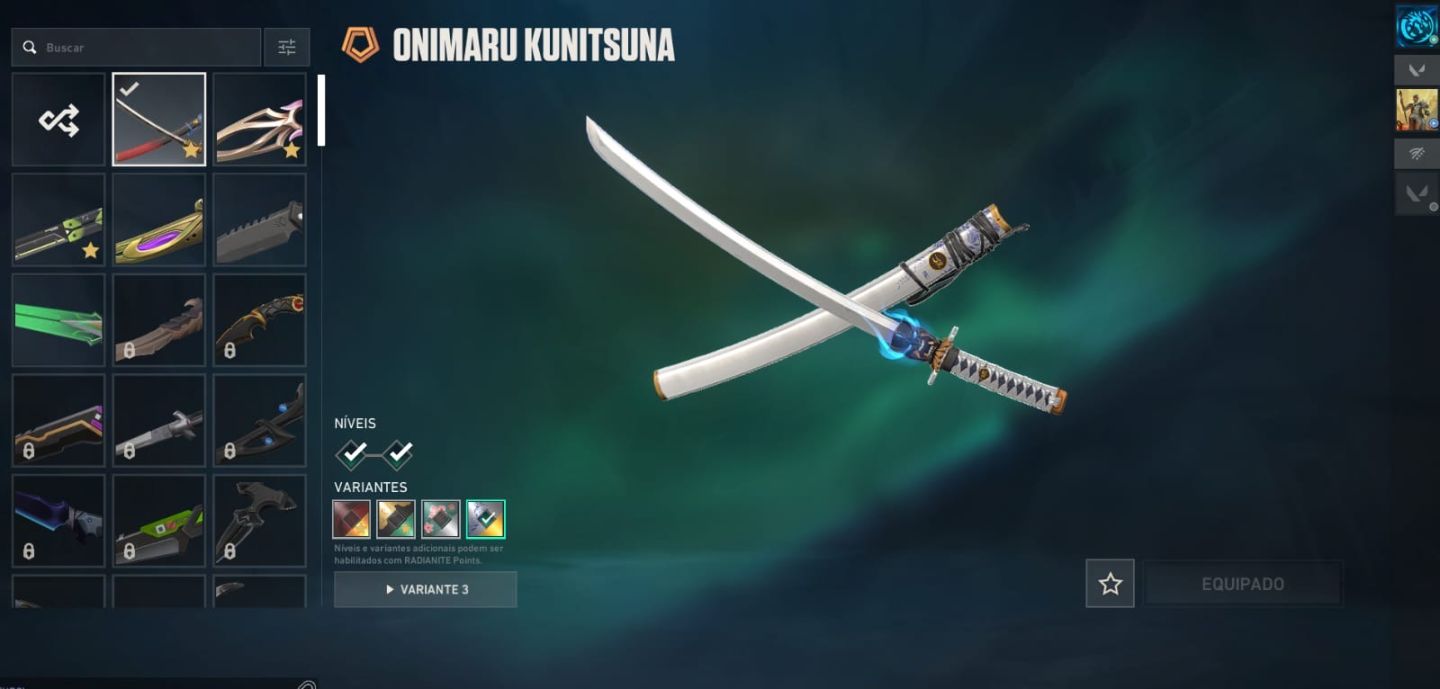 Conta Valorant Ascendente Full Acesso com Muitas Skins e Banners