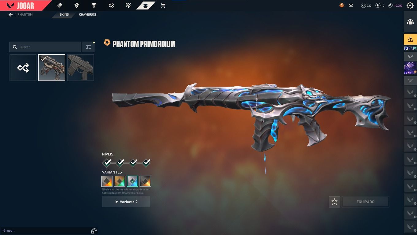 Conta Valorant/ Skin da VANDAL CHAMPIONS 2025 com mais algumas outras
