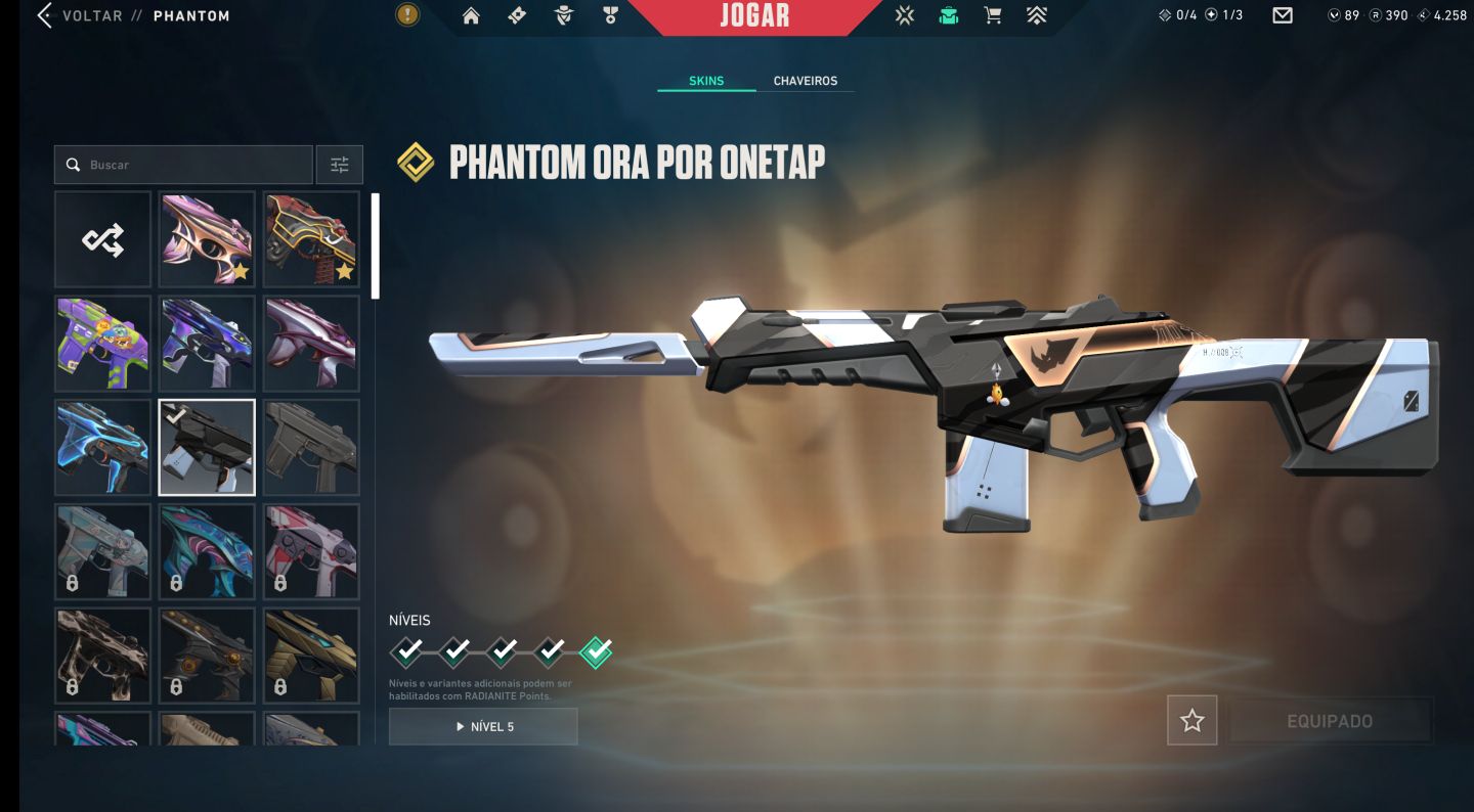 Conta Valorant Muitas Skins