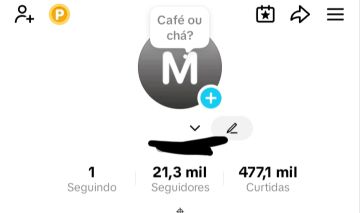 CONTA TIK TOK 21,3K SEGUIDORES 476K CURTIDAS