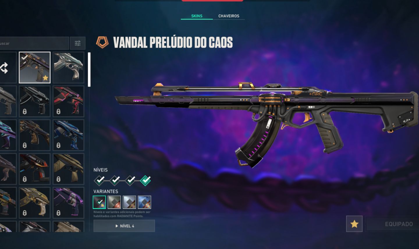 CONTA VALORANT NIVEL 100 COM 5 SKINS (VALOR NEGOCIAVEL)