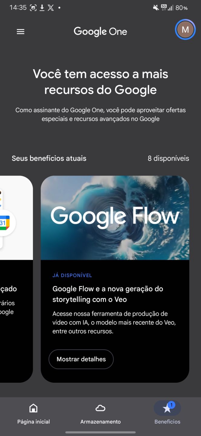 Gemini 3 Pro + 5TB + Veo 3.1 + Flow - 30 Dias