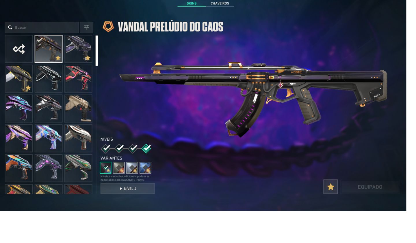 CONTA VALORANT COM TODOS OS PASSES COMPLETOS E SKINS
