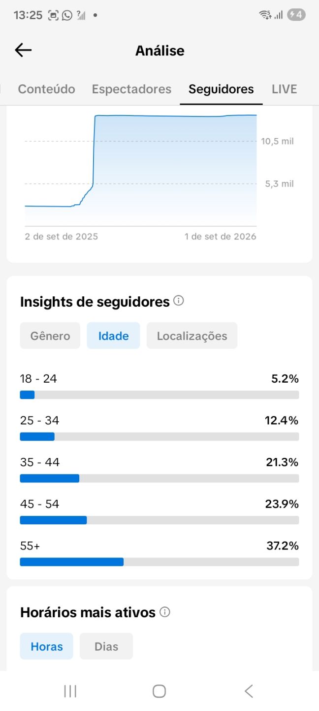 CONTA TIK TOK 13,8K SEGUIDORES ( QUALIDADE+ENGAJAMENTO+PROMOÇÃO)