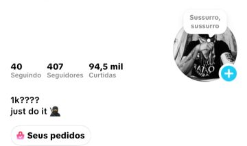 CONTA DO TIKTOK COM 400 SEGUIDORES E 94K DE CURTIDAS, TK ESTÚDIO + SHOPI