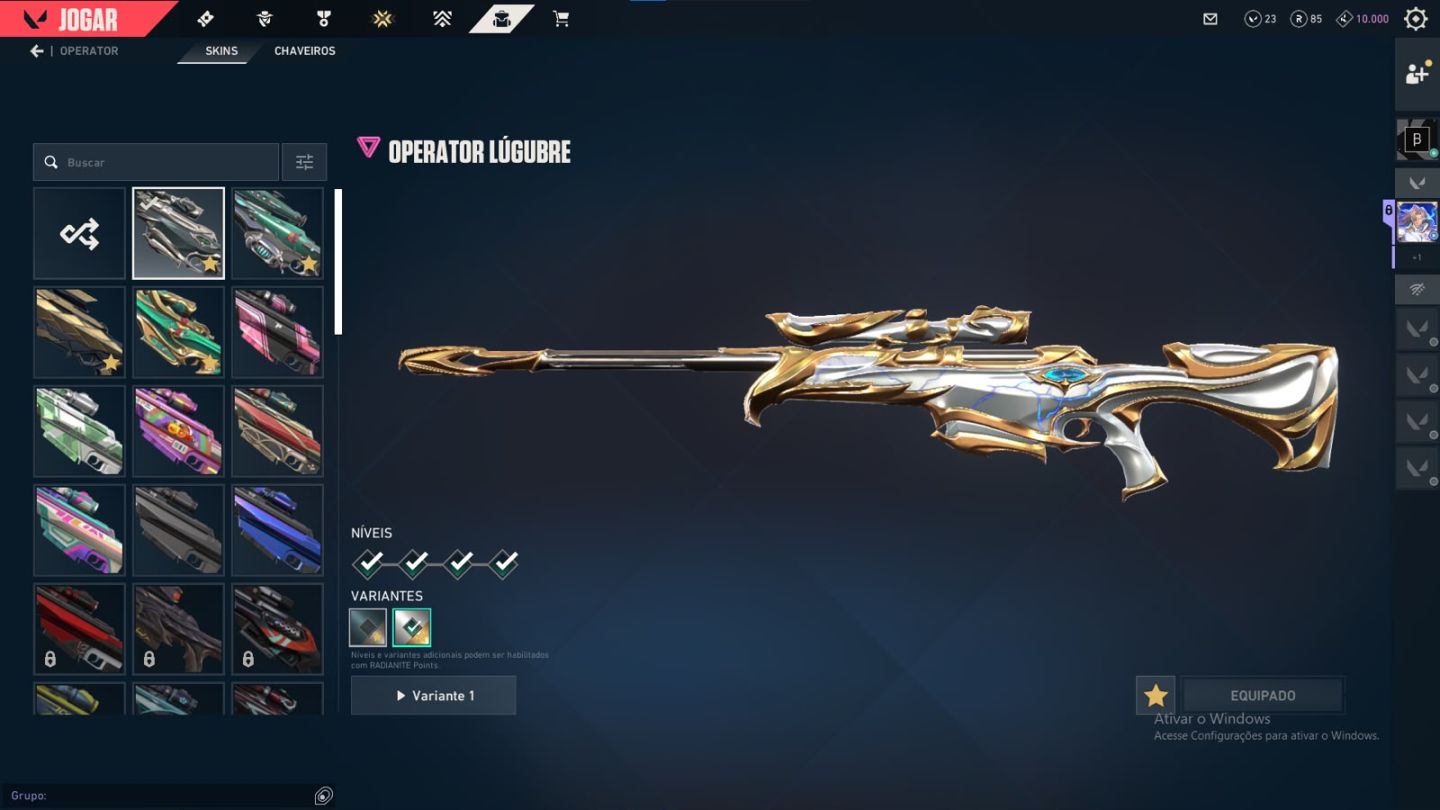 CONTA COM DIVERSAS SKINS E CARDS DO BETA