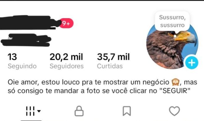 CONTA TIK TOK COM MAIS DE 20K DE SEGUIDORES + SUPORTE NA ENTREGA 24horas