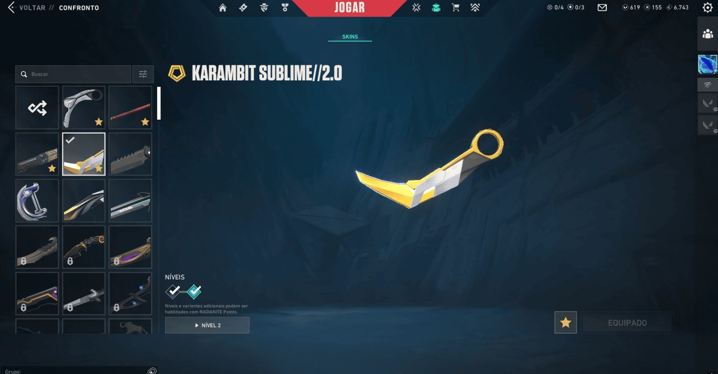 Conta Valorant Full Acesso | 14 Skins Compradas (Gatinho,kuronami)
