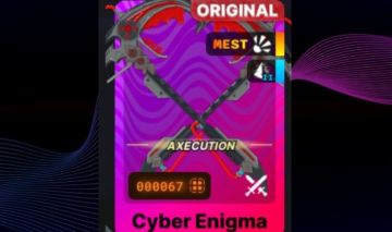 Cyber Enigma