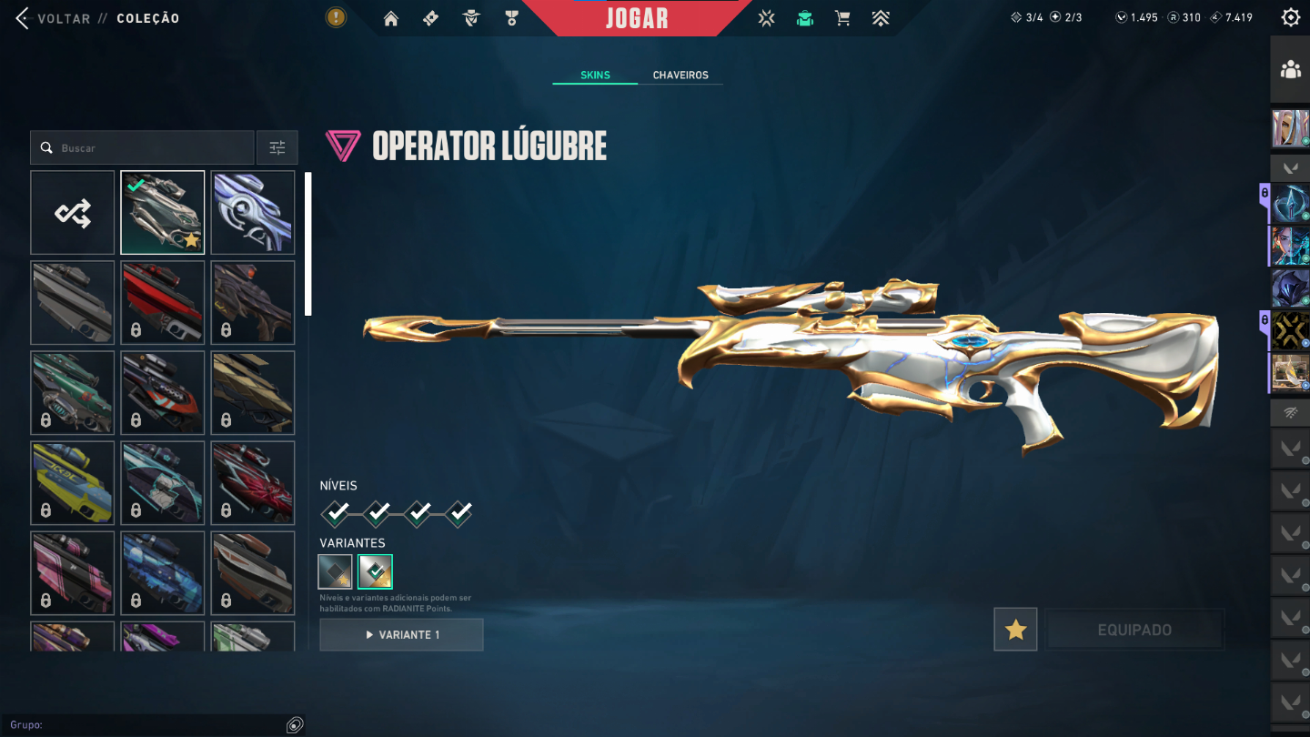 CONTA VALORANT VARIAS, 1.790 gastos SKIN, D3, UNICO DONO, VARIAS SKIN, PEAK ASC3
