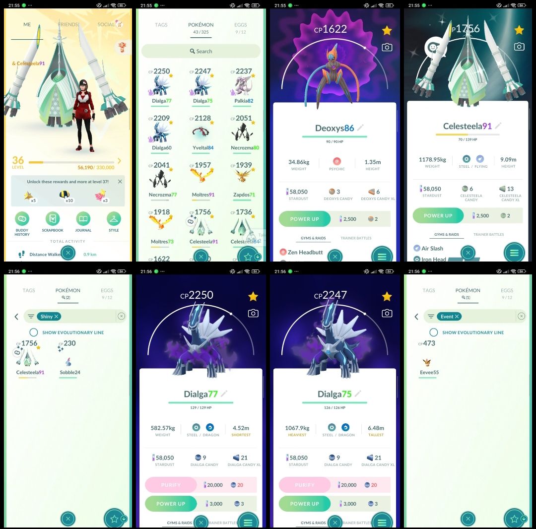 Pokémon GO LVL 36 | cekesteela shiny | Dialga + Palkia + Yveltal | 2 Shiny |T343