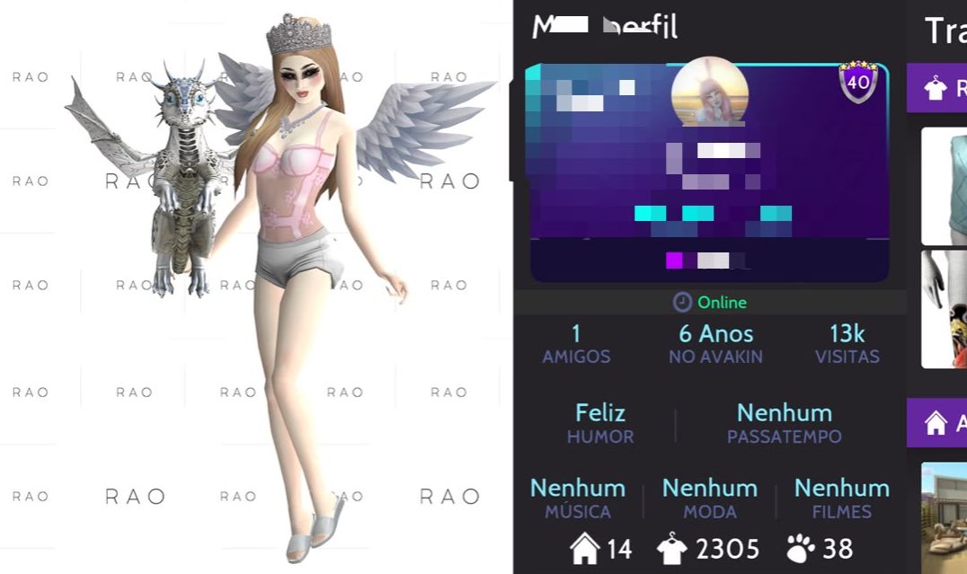 CONTA AVAKIN LIFE NV 40 | 6 ANOS | +12 PARES ASAS LUXO | DRAGÃO | +2.3K ROUPAS