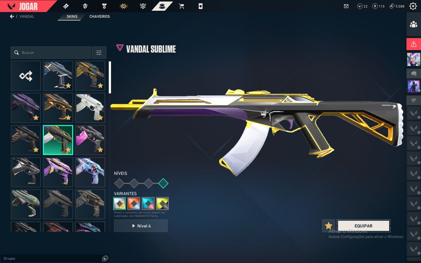 Conta valorant com skin champions 24
