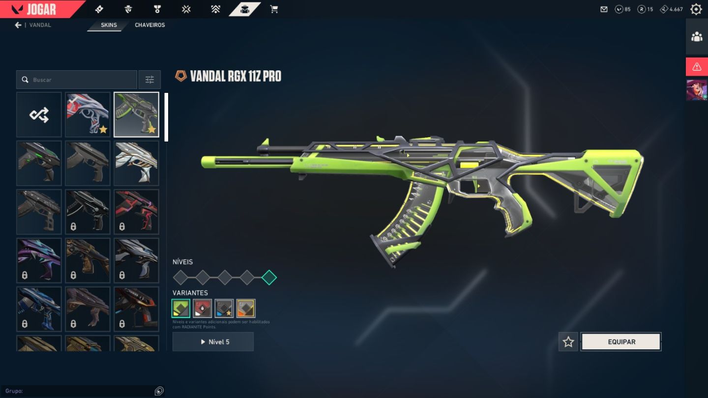Valorant Nível 67 | Vandal Gaia + Karambit Saqueadora + Phantom pinaculo