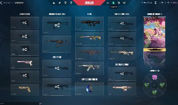 Conta Valorant Completa | Ascendente 3 Peak | +R$3000 em Skins / Pacote Evori
