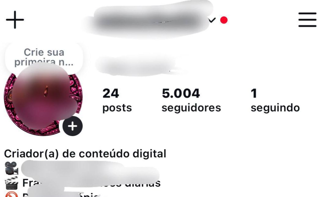 Perfil Instagram 5.2k Orgânico | 4.0M Views (Viral) + Entrega Brutal