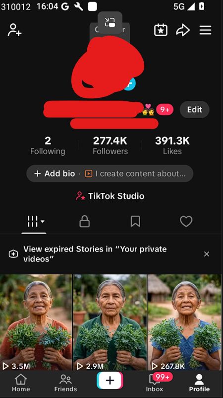 Conta TikTok REINO UNIDO monetizada, 277.4 mil, segura e saudável.