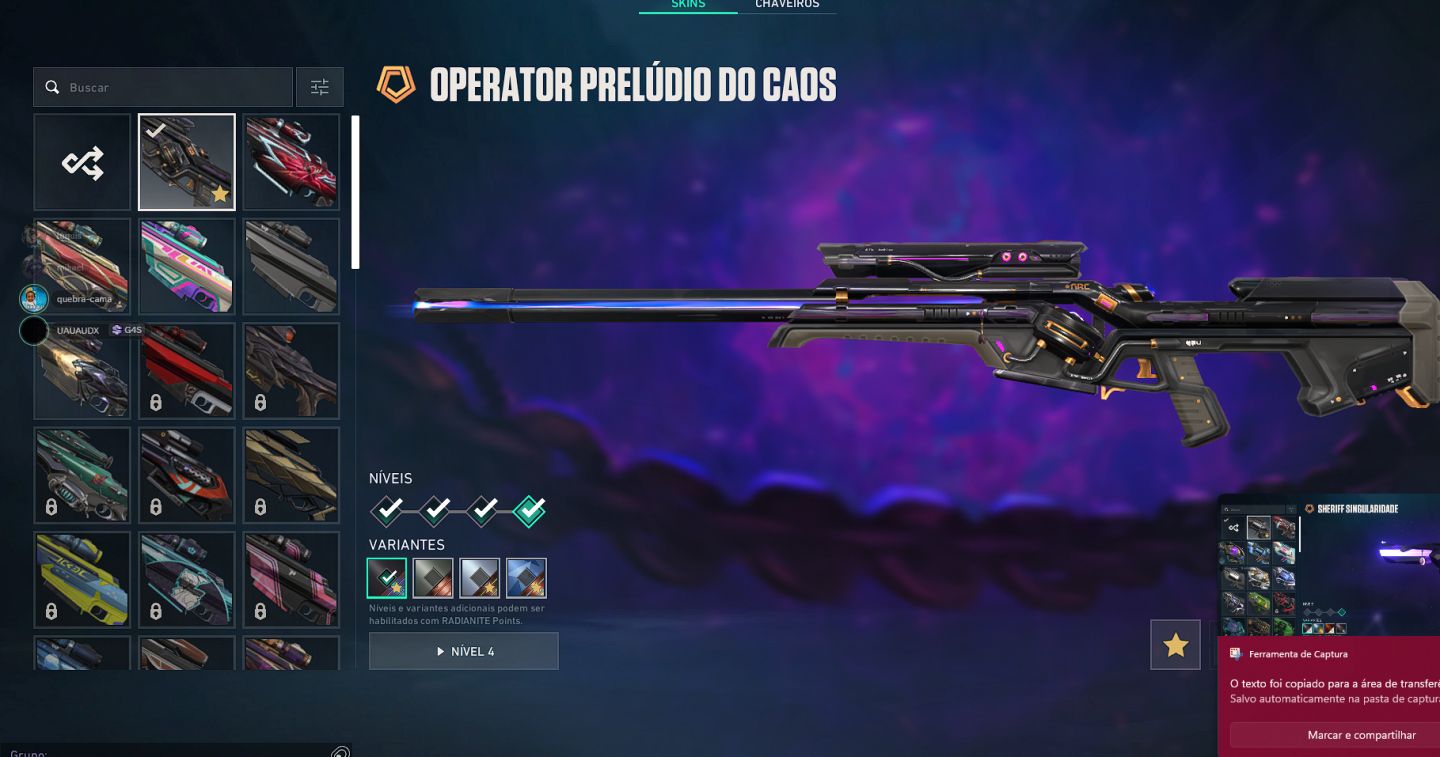 Conta valorant com 12 skin de vandal