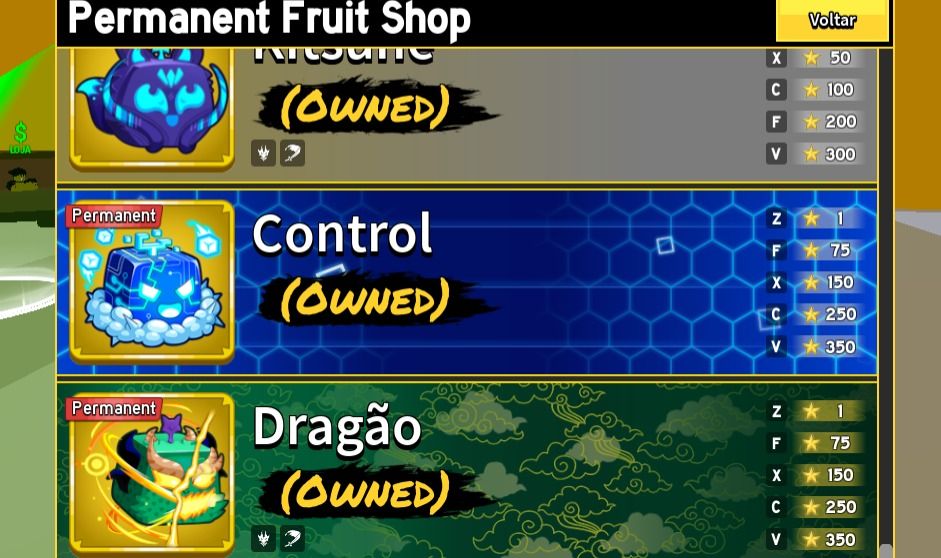 CONTA DE BLOX FRUITS COM TUDO DO JOGO!!/ TODAS GAMEPASS!!