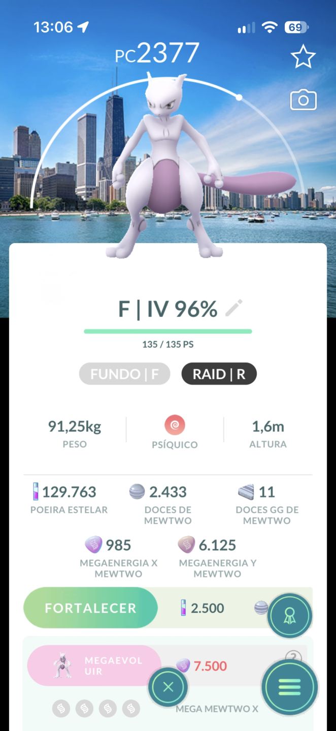 POKEMON RAROS