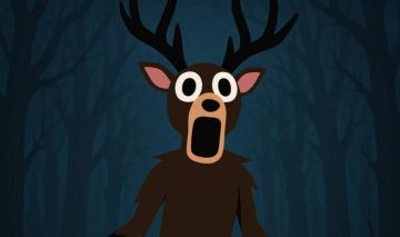 CONTAS 99 NOITES NA FLORESTA