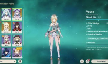 AR 25 - CONTA REROLL VESNA e QIQI