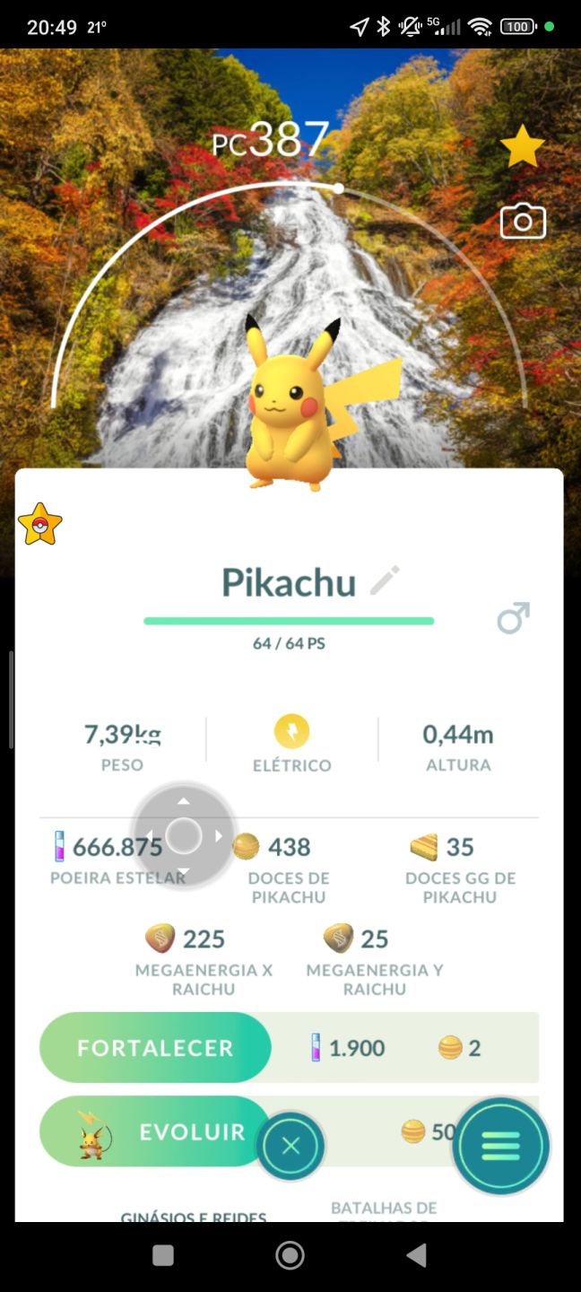 Pokémon com fundo especial(locais) e eventos