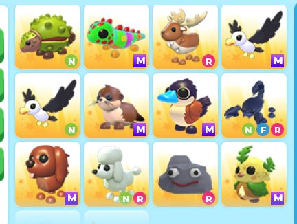 ADOPT ME - PETS, CASAS, ROUPAS E CARROS
