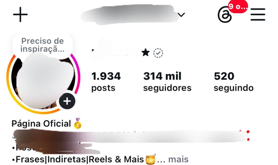 Perfil Instagram 316k Orgânico | 51M Views + E-mail Original