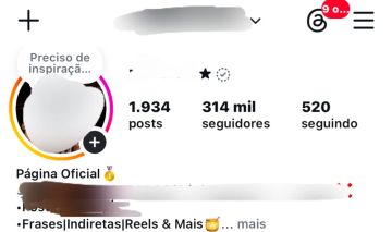 Perfil Instagram 316k Orgânico | 51M Views + E-mail Original