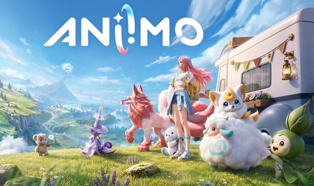Conta no Aniimo