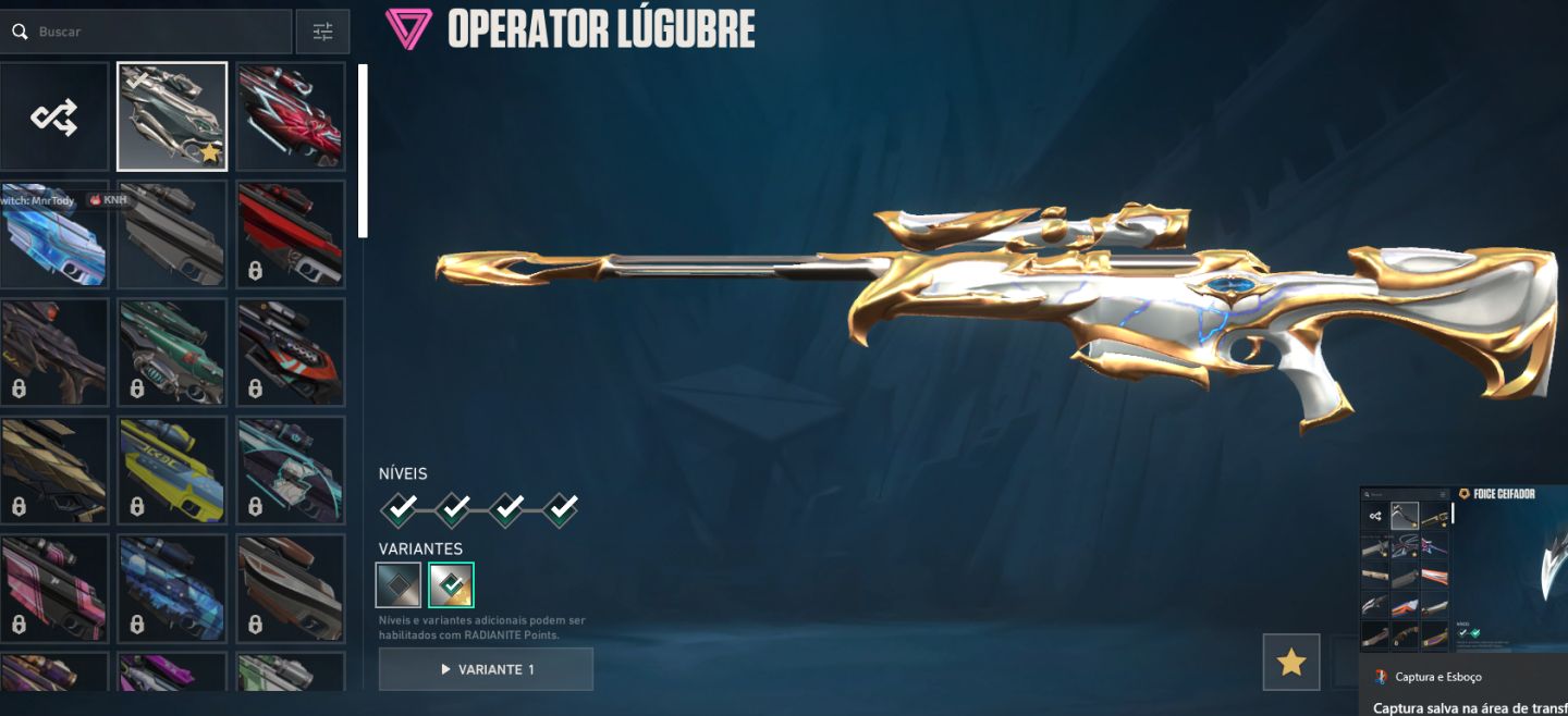 CONTA DE VALORANTO LOTADA DE SKINS (AS QUE MAIS PEGAM)