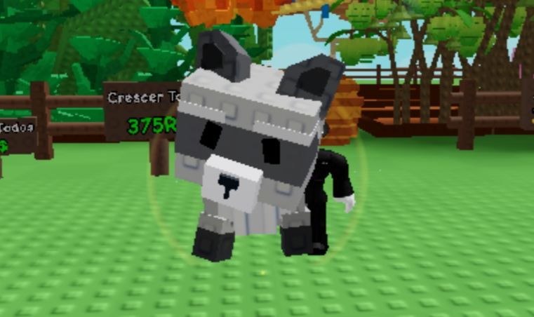 Raccon raibown grow a gardem