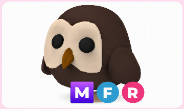 Owl MFR Curuja Mega Néon