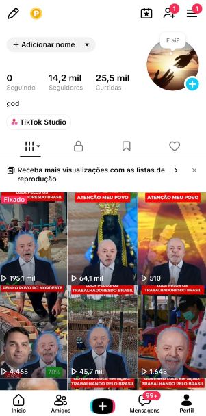 CONTA TIKTOK 14,6K SEGUIDORES, MONETIZAÇÃO APROVADO | SEM DOC |