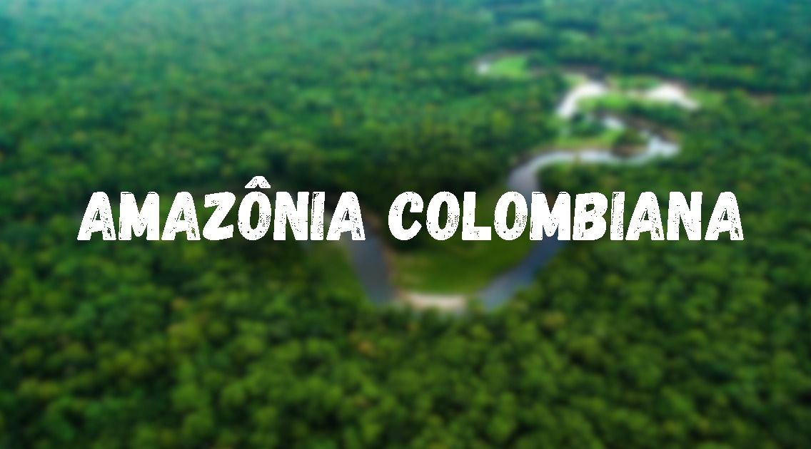 TRABALHO ESCOLAR - SLIDE, RESUMO, PESQUISA E MUITO MAIS!!!
