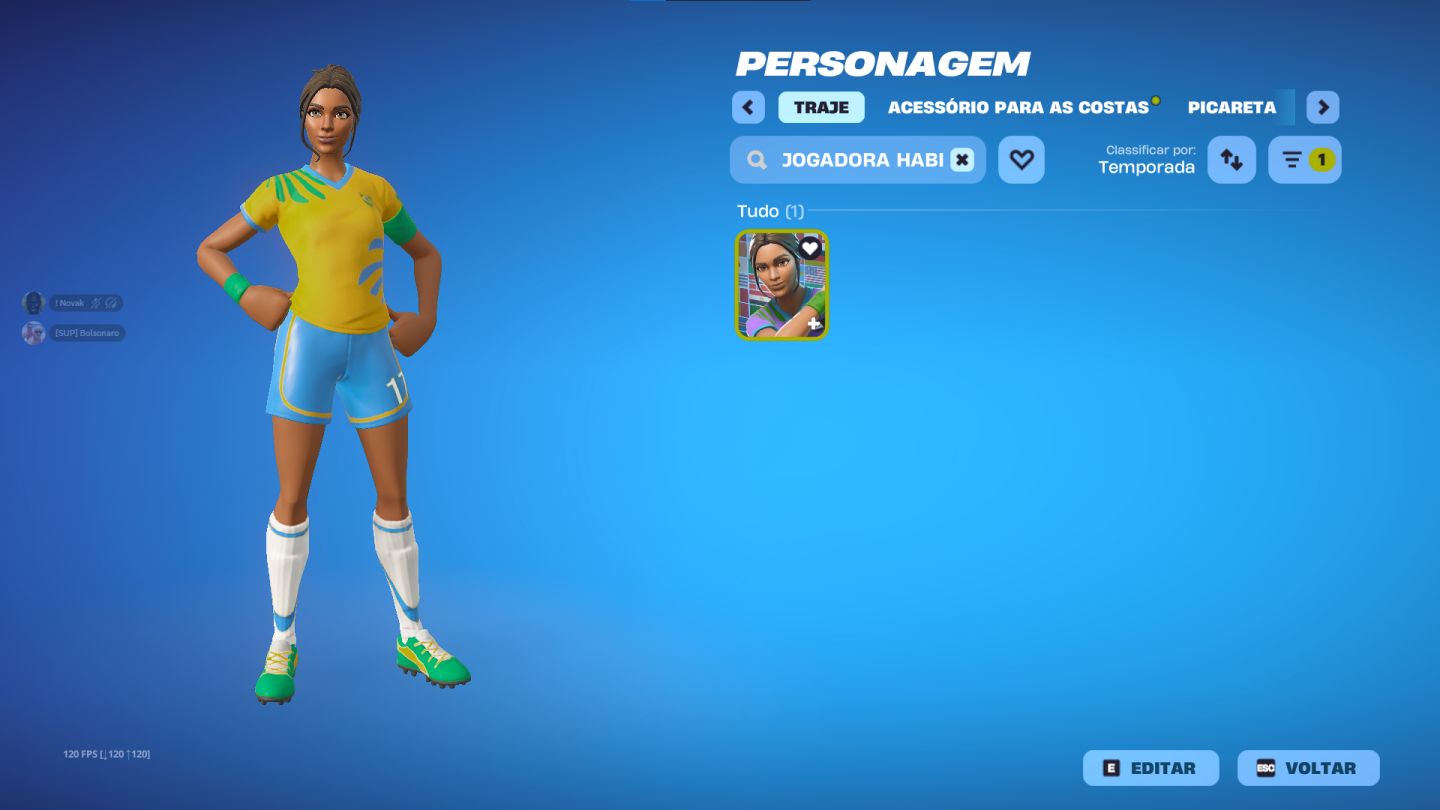 CONTA DE FORTNITE COM 147 SKINS / 204 PICARETAS / 118 GLIDERS