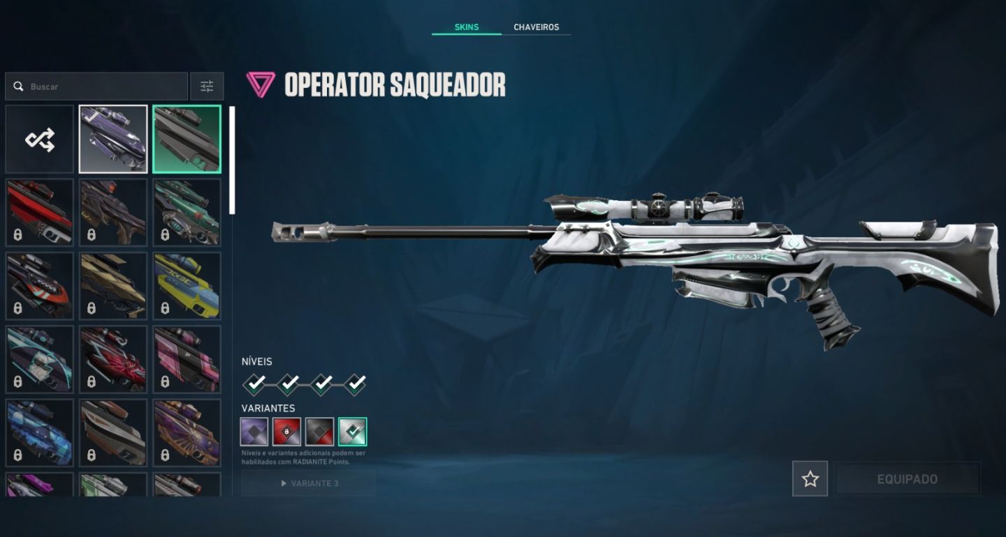 [CONTA VALORANT COM MUITAS SKINS, COMBO VANDAL PRELUDIO + XENOHUNTER NIVEL 246]