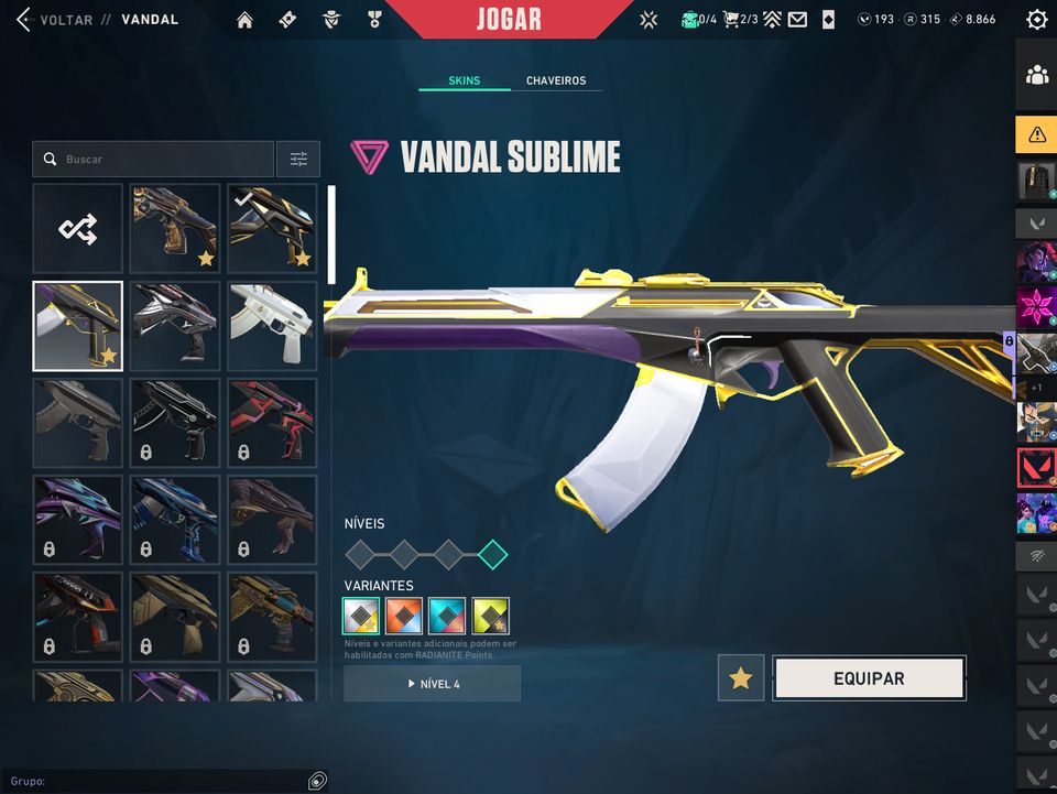 CONTA VALORANT VARIAS SKINS, FULL-INFO